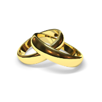 เครื่องประดับและนาฬิกา